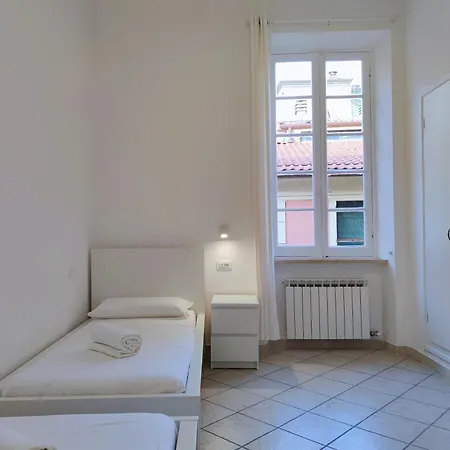 Palmito Daire *