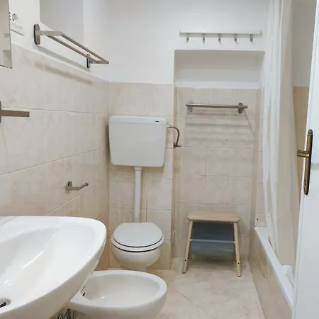 Palmito Daire