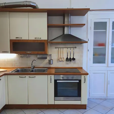 Palmito Daire